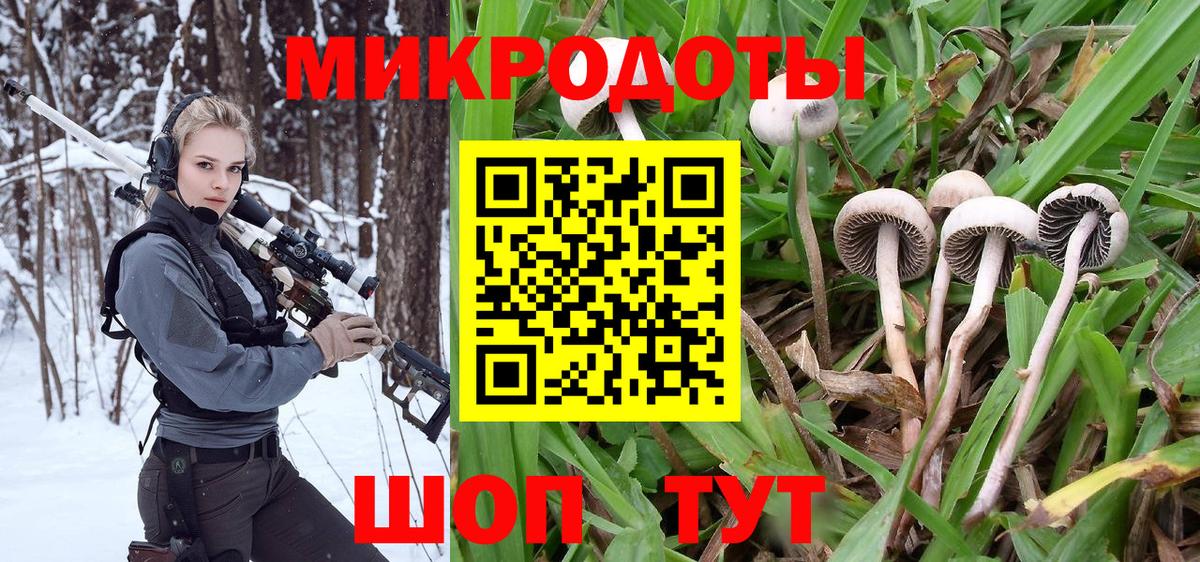Кирово-Чепецк  Галлюциногенные грибы Magic Shrooms  Вход с VPN 